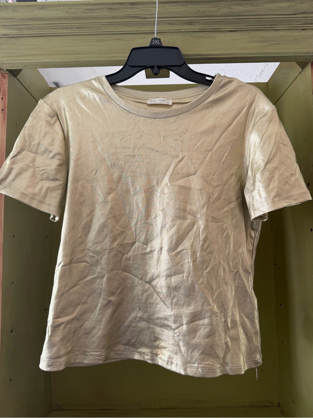 Shimmery Cream Short Sleeve Crewneck Top